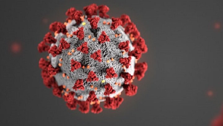 South Africa's Coronavirus update page